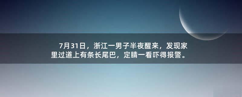 7月31日，浙江一男子半夜醒来，发现家里过道上有条长尾巴，定睛一看吓得报警。