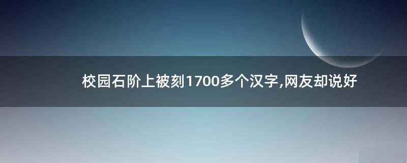 校园石阶上被刻1700多个汉字,网友却说好