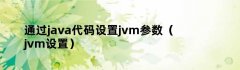 通过java代码设置jvm参数（jvm设置）