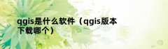 qgis是什么软件（qgis版本下载哪个）