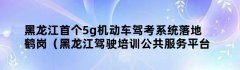 黑龙江首个5g机动车驾考系统落地鹤岗（黑龙江驾驶培训公共服务平台）