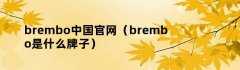 brembo中国官网（brembo是什么牌子）