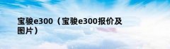 宝骏e300（宝骏e300报价及图片）
